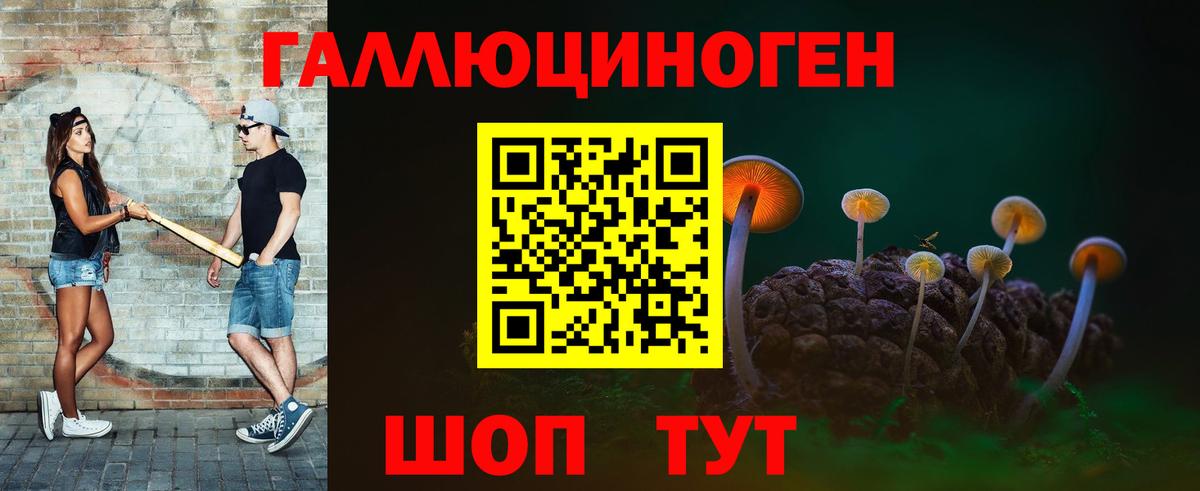 Псилоцибиновые грибы Psilocybe Новороссийск